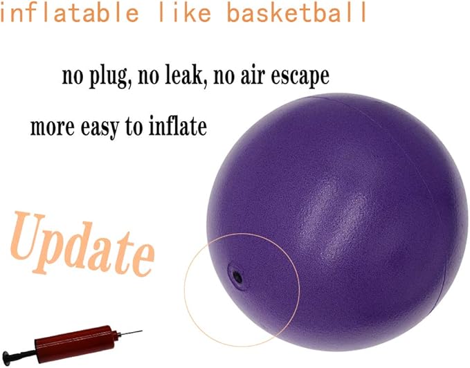 Pilates Ball 8 inch, Small Exercise Ball for Between Knees with Needle Pump for Core Workout & Physical Therapy Yoga PT