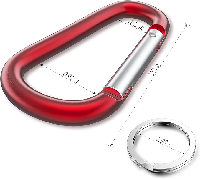 sprookber 3" Aluminum Carabiner D Ring, Caribeener Clips, Spring Snap Hook for Keychain Clip, Set of 10