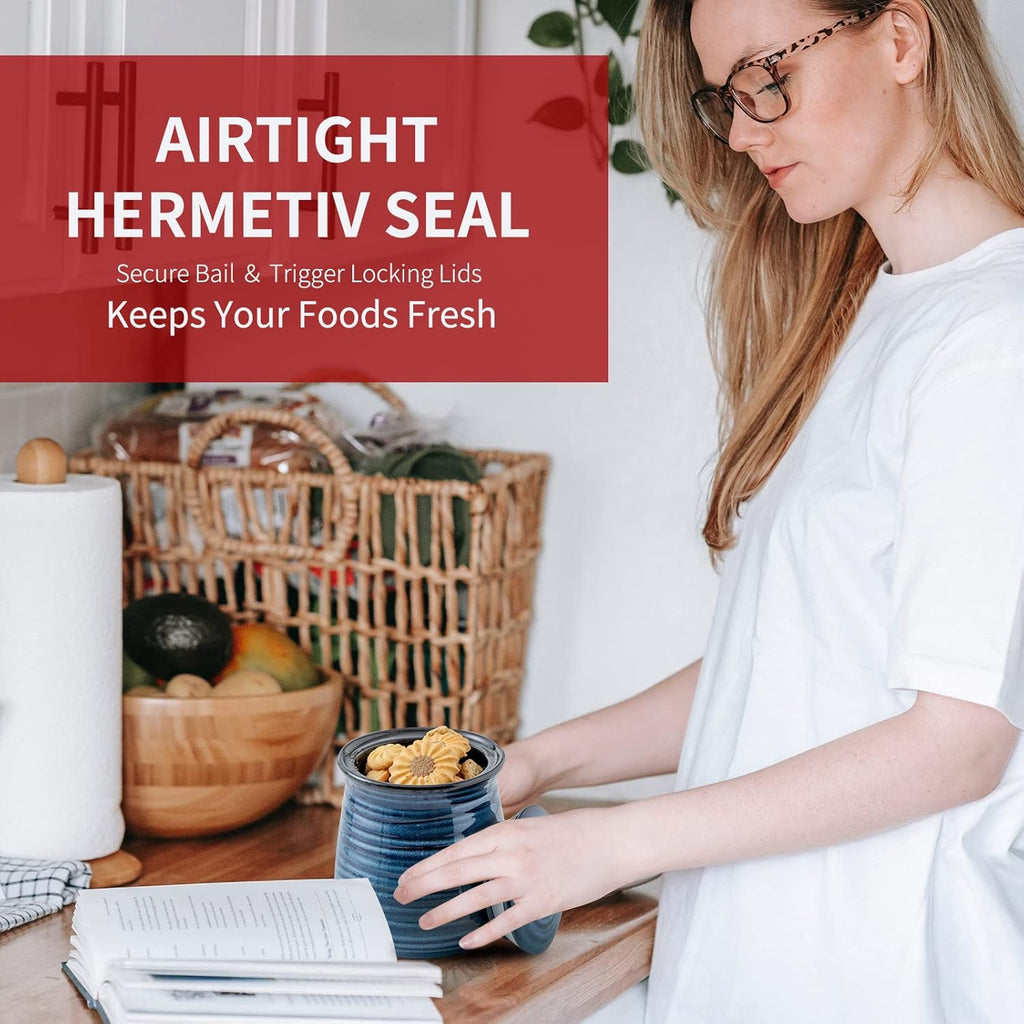 Hasense Ceramic Food Storage Jar, Coffee Canister with Lid, Cookie Candy Jar for Kitchen, Serving for Dog Treat Sugar Loose Tea Flour Coffee Beans Rice Snack Storage 30 FL OZ (Blue)