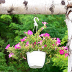 50 PCS Bronze Eye Screw Hooks for Hanging Heavy Duty with Safety Buckle.Metal Ceiling Hooks for Hanging Plants Cup Wind Chime Bird Feeders Patio Lights at Indoor&Outdoor