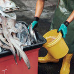 KAYGO Waterproof Work Gloves for Men and Women, Rubber Coated Non-slip Working Gloves for Garden, Outdoor Construction,3 pairs,Blue,M