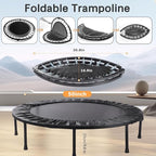 Rebounder Trampoline for Adults, 40"/50" Foldable Spring Fitness Trampoline - 450 lbs Capacity, Quiet & Stable Indoor/Outdoor Exercise Equipment for Cardio Workout