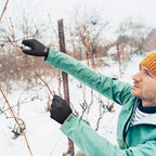 KAYGO Winter Work Gloves for Men and Women, 12 Pairs Thermal Insulated Safety Work Gloves PU Coated, Smooth Grip on Palm & Fingers,Ideal for Freezer Work,Black,XL