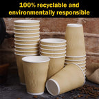 Disposable Paper Coffee Cups with Lids, 100 pack 12 oz Ripple Wall Insulated To Go Coffee Cups for Hot/Cold Beverage, Recyclable Takeaway Drinking Cups for Home Office Cafe Party