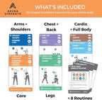 Arena Strength Workout Cards - Instructional Fitness Deck for Booty Band Workouts, Beginner Fitness Guide for Resistance Band Training Exercises at Home. Includes Workout Routines.