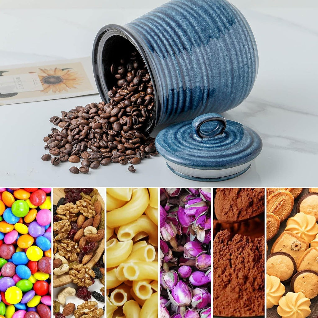 Hasense Ceramic Food Storage Jar, Coffee Canister with Lid, Cookie Candy Jar for Kitchen, Serving for Dog Treat Sugar Loose Tea Flour Coffee Beans Rice Snack Storage 30 FL OZ (Blue)