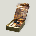 Ionic Brush Set, Magnetized to Stand Upright, Stainless Steel with Replaceable Heads, Bronze