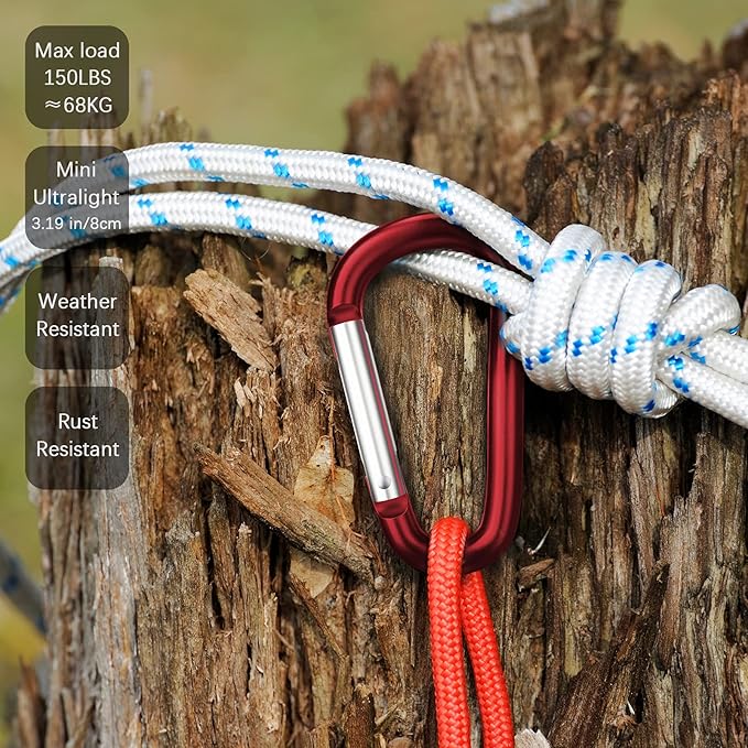sprookber 3" Aluminum Carabiner D Ring, Caribeener Clips, Spring Snap Hook for Keychain Clip, Set of 10