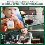 [400 Pack] Compostable Short Paper Straws Individually Wrapped, 5.75" x 0.24", Dye-free White - Great for Kids, Milk Cartons, Cocktail & Coffee