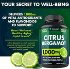 (2 PACK) Citrus Bergamot Extract 1000mg - Citrus Bergamot Supplement for Circulatory Health, Immunity, and Graceful Aging - 2x the potency of Citrus Bergamot 500mg - 240 Vegan Citrus Bergamot Capsules